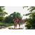 Team 131 / Raid Amazones Sri Lanka 2018 - J3 VTT