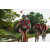 Team 109 / Raid Amazones Sri Lanka 2018 - J3 VTT