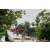 Team 11 / Raid Amazones Sri Lanka 2018 - J3 VTT