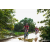 Team 40 / Raid Amazones Sri Lanka 2018 - J3 VTT
