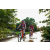 Team 129 / Raid Amazones Sri Lanka 2018 - J3 VTT