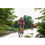 Team 110 / Raid Amazones Sri Lanka 2018 - J3 VTT