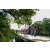Team 33 / Raid Amazones Sri Lanka 2018 - J3 VTT