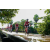 Team 104 / Raid Amazones Sri Lanka 2018 - J3 VTT