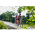 Team 31 / Raid Amazones Sri Lanka 2018 - J3 VTT