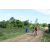 Team 45 / Raid Amazones Sri Lanka 2018 - J3 VTT