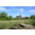 Team 112 / Raid Amazones Sri Lanka 2018 - J3 VTT