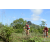 Team 109 / Raid Amazones Sri Lanka 2018 - J3 VTT