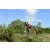 Team 69 / Raid Amazones Sri Lanka 2018 - J3 VTT