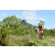 Team 150 / Raid Amazones Sri Lanka 2018 - J3 VTT