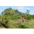 Team 150 / Raid Amazones Sri Lanka 2018 - J3 VTT