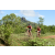 Team 121 / Raid Amazones Sri Lanka 2018 - J3 VTT