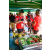 Team 31 / Raid Amazones Sri Lanka 2018 - J3 VTT