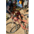 Team 106 / Raid Amazones Sri Lanka 2018 - J3 VTT