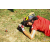 Team 106 / Raid Amazones Sri Lanka 2018 - J3 VTT