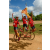 Team 106 / Raid Amazones Sri Lanka 2018 - J3 VTT