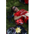 Team 121 / Raid Amazones Sri Lanka 2018 - J3 VTT
