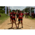 Team 64 / Raid Amazones Sri Lanka 2018 - J3 VTT