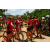 Team 138 / Raid Amazones Sri Lanka 2018 - J3 VTT