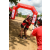 Team 71 / Raid Amazones Sri Lanka 2018 - J3 VTT