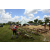 Raid Amazones Sri Lanka 2018 - J3 VTT