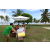 Team 33 / Raid Amazones Sri Lanka 2018 - J4 The Game