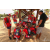Raid Amazones Sri Lanka 2018 - J4 The Game