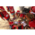 Raid Amazones Sri Lanka 2018 - J4 The Game