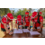 Team 80 / Raid Amazones Sri Lanka 2018 - J4 The Game