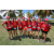Team 36 / Raid Amazones Sri Lanka 2018 - J4 The Game