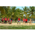 Team 104 / Raid Amazones Sri Lanka 2018 - J4 The Game