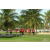Team 123 / Raid Amazones Sri Lanka 2018 - J4 The Game