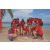 Team 24 / Raid Amazones Sri Lanka 2018 - J4 The Game