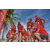 Team 37 / Raid Amazones Sri Lanka 2018 - J4 The Game