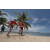 Team 58 / Raid Amazones Sri Lanka 2018 - J4 The Game