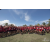 Team 103 / Raid Amazones Sri Lanka 2018 - J4 The Game