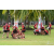 Team 23 / Raid Amazones Sri Lanka 2018 - J4 The Game