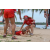 Team 103 / Raid Amazones Sri Lanka 2018 - J4 The Game