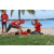 Team 131 / Raid Amazones Sri Lanka 2018 - J4 The Game