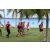 Team 121 / Raid Amazones Sri Lanka 2018 - J4 The Game