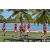 Team 36 / Raid Amazones Sri Lanka 2018 - J4 The Game