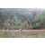 Raid Amazones Sri Lanka 2018 - J4 The Game