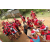 Raid Amazones Sri Lanka 2018 - J4 The Game