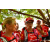 Team 02 / Raid Amazones Sri Lanka 2018 - J4 The Game