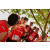 Team 08 / Raid Amazones Sri Lanka 2018 - J4 The Game