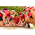 Team 02 / Raid Amazones Sri Lanka 2018 - J4 The Game