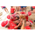 Team 13 / Raid Amazones Sri Lanka 2018 - J4 The Game
