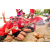Team 07 / Raid Amazones Sri Lanka 2018 - J4 The Game