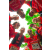 Raid Amazones Sri Lanka 2018 - J4 The Game