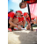 Team 54 / Raid Amazones Sri Lanka 2018 - J4 The Game